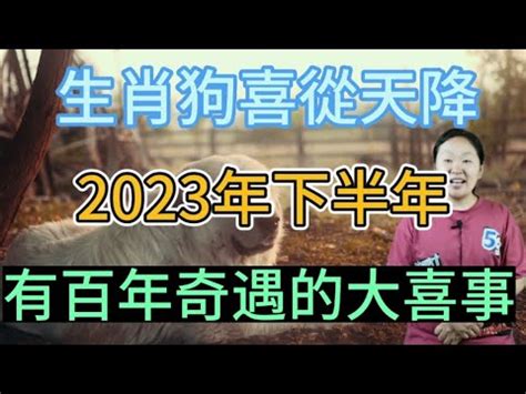 2023屬狗買房 廁所門對大門